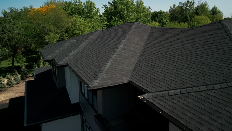 Best Skylight Installation and Repair  in Bisbee, AZ