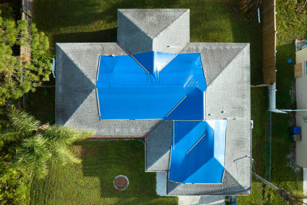 Best Flat Roofing  in Bisbee, AZ