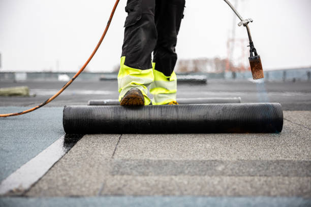 Best Gutter Installation and Repair  in Bisbee, AZ